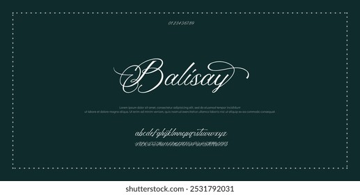 Signature Font Calligraphy Logotype Script Font Type Font lettering handwritten