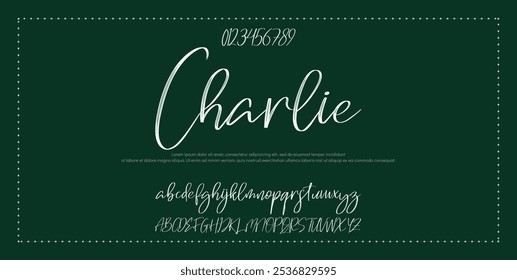 Signature Font Calligraphy Logotype Script Font Type Font lettering handwritten