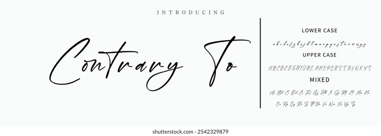 signature Font Calligraphy Logotype Script Brush Font Type Font lettering handwritten
