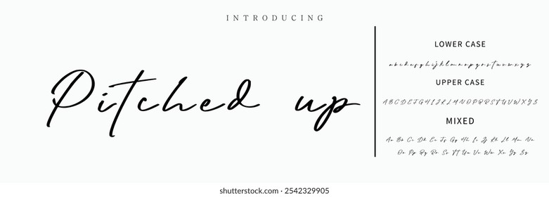 signature Font Calligraphy Logotype Script Brush Font Type Font lettering handwritten