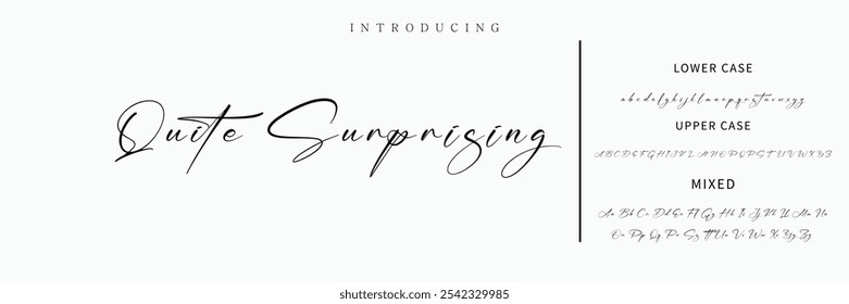 signature Font Calligraphy Logotype Script Brush Font Type Font lettering handwritten