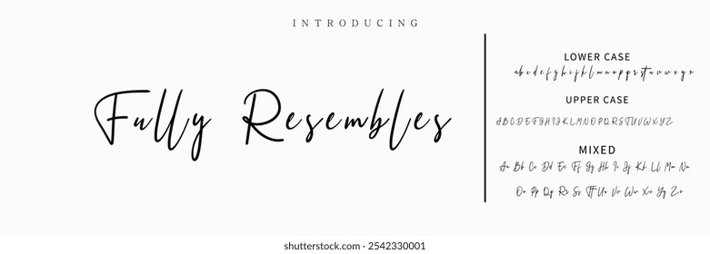 signature Font Calligraphy Logotype Script Brush Font Type Font lettering handwritten
