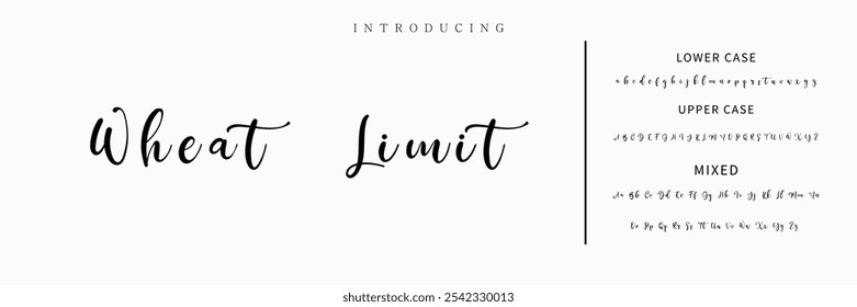 assinatura Fonte Caligrafia Tipo de Logotipo Script Pincel Tipo de Fonte Letras de fonte manuscritas