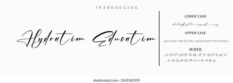 Signature Font Calligraphy Logotype Script Font Type Font lettering handwritten