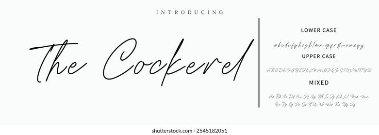 Signature Font Calligraphy Logotype Script Font Type Font lettering handwritten