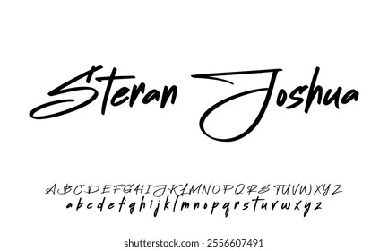 signature Font Calligraphy Logotype Script Brush Font Type Font lettering handwritten
