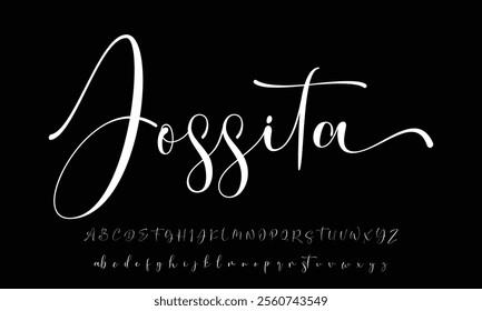 signature Font Calligraphy Logotype Script Brush Font Type Font lettering handwritten