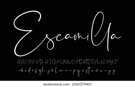 Signature Font Calligraphy Logotype Script Font Type Font lettering handwritten