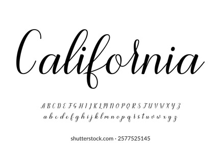 signature Font Calligraphy Logotype Script Brush Font Type Font lettering handwritten