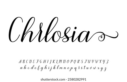 signature Font Calligraphy Logotype Script Brush Font Type Font lettering handwritten