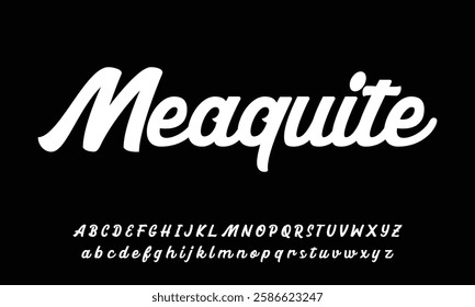 signature Font Calligraphy Logotype Script Brush Font Type Font lettering handwritten