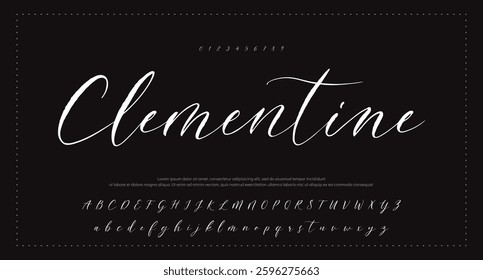  Signature Font Calligraphy Logotype Script Brush Font Type Font lettering handwritten