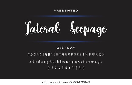 signature Font Calligraphy Logotype Script Brush Font Type Font lettering handwritten