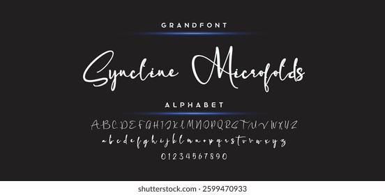 signature Font Calligraphy Logotype Script Brush Font Type Font lettering handwritten