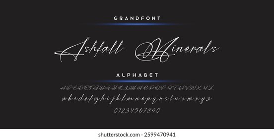 signature Font Calligraphy Logotype Script Brush Font Type Font lettering handwritten