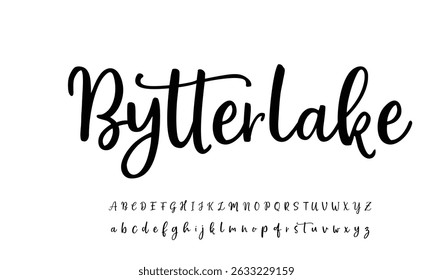 signature Font Calligraphy Logotype Script Brush Font Type Font lettering handwritten  