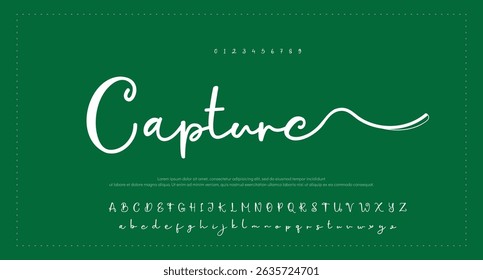 signature Font Calligraphy Logotype Script Brush Font Type Font lettering handwritten