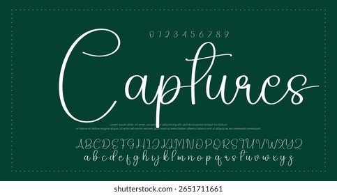 
assinatura Fonte Caligrafia Tipo de Logotipo Script Pincel Tipo de Fonte Letras de fonte manuscritas  