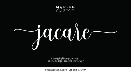 signature Font Calligraphy Logotype Script Brush Font Type Font lettering handwritten