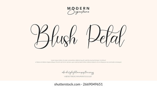 signature Font Calligraphy Logotype Script Brush Font Type Font lettering handwritten