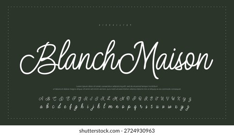 Signatur Schriftart Kalligrafie Logotyp Skript Pinsel Schriftart Schriftart Schriftart handschriftlich. Vektorgrafik  