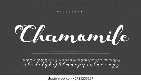 
Signature Font Calligraphy Logotype Script Tipo de fuente Letras de fuentes escritas a mano. 