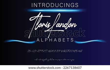 Signature Font Calligraphy Logotype Script Brush Font Type Font lettering handwritten
