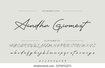 Signature Font Handwritten Script Brush Font Type Font lettering handwritten