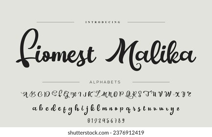 Signature Font Handwritten Script Brush Font Type Font lettering handwritten