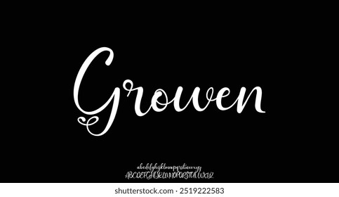Signature Font Handwritten Script Brush Font Type Font lettering handwritten
