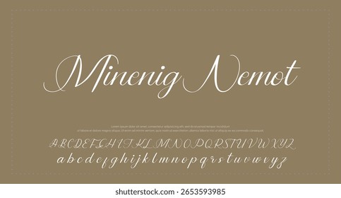 Signature Font Handwritten Script Brush Font Type Font lettering handwritten