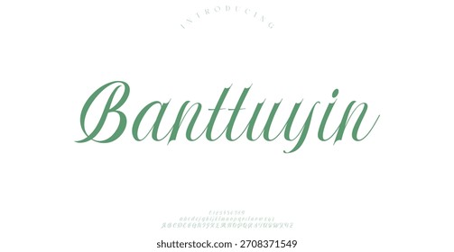 Handgeschriebenes Skript für Signaturschriftart Pinsel Schriftart Schriftart handgeschriebene Schrift