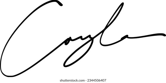 signature series C design illustration