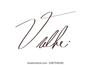 Signature Vector. hand drawn Autograph. Written black sign isolated on white background. Handwritten autograph. Handwriting scribble by pen. Writing sign sketch. Write scribbles line. Scrawl signature