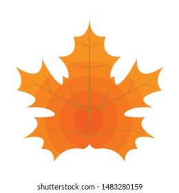 Signle Autumn leaf. Autumn maple leaf. Flat and solid color Vector illustration