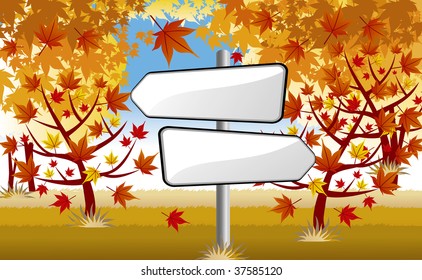 signpost in autumn maple forest