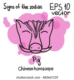 Signs of the Chinese horoscope year. Horoscope hand drawing. Pig symbol. The black outline drawing isolated on a white background with a colored pseudo watercolor. Astrology.