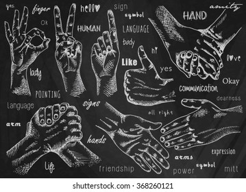 Signs hands. One hand making thumb up gesture. Hand is showing Like. Hands held together. Fist agreement. Shaking hands. Friendship