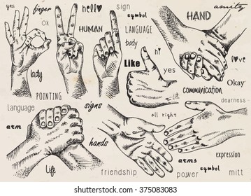 Signs hands. One hand making thumb up gesture. Hand is showing Like. Hands held together. Fist agreement. Shaking hands. Friendship