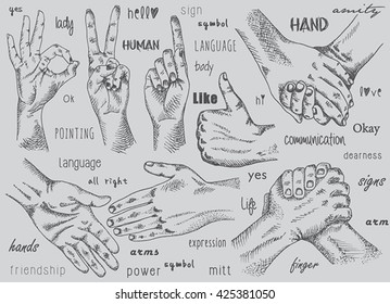Signs hands. One hand making thumb up gesture. Hand is showing Like. Hands held together. Fist agreement. Shaking hands. Friendship