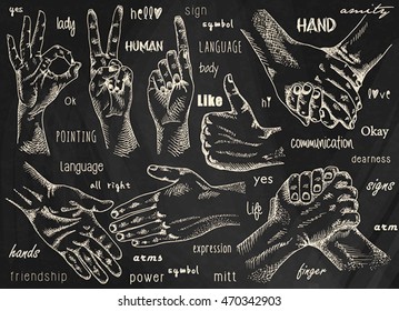 Signs hands. One hand making thumb up gesture. Hand is showing Like. Hands held together. Fist agreement. Shaking hands. Friendship