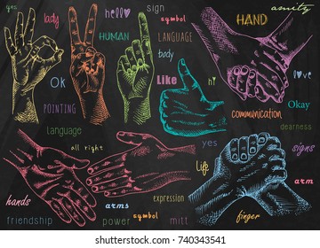 Signs hands. One hand making thumb up gesture. Hand is showing Like. Hands held together. Fist agreement. Shaking hands. Friendship on chalkboard background
