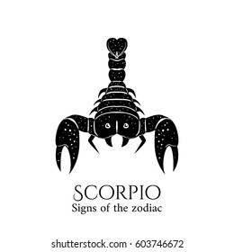 Signs of the zodiac. Scorpio hand draw. Black silhouette and white details. Vector illustration isolated on a white background.