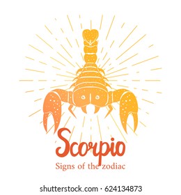 Signs of the zodiac. Scorpio letting hand draw. Color silhouette and white details. Vector illustration isolated on a white background.