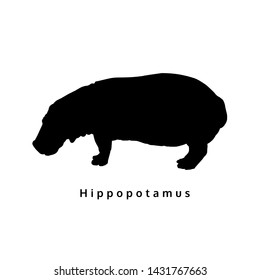 silhoette hippopotamus, isolated animal wild life vector shape, illustration on white