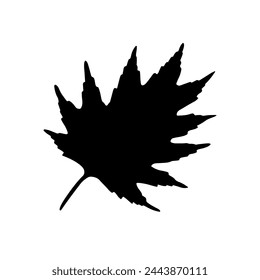 silhoette of a leaf vector illustration