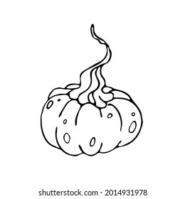 Silhouet de calabaza. Elemento para el diseño decorativo de otoño, halloween, cosecha. 
