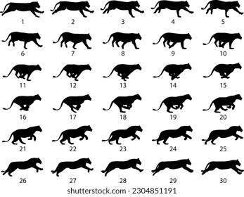 Silhouete female lion running steps for animation
