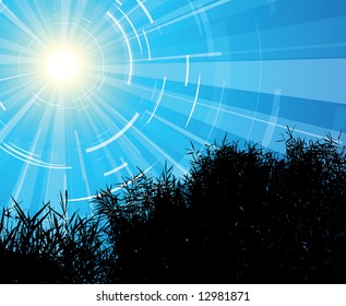 Silhouete of the reed with blue sky on the back