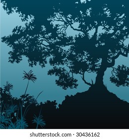 Silhouette
